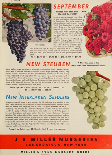 Miller's 1954 nursery guide