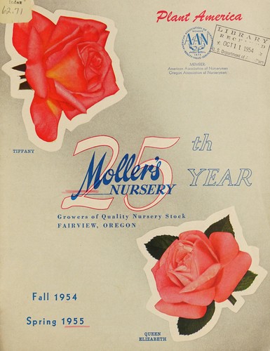 25th year