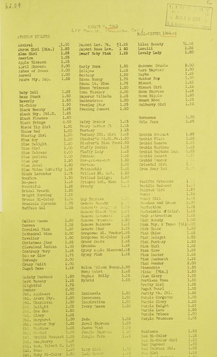African violets, fall-winter 1954-55