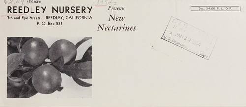 Presents new nectarines