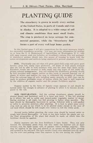 1954 strawberry catalog and planting guide