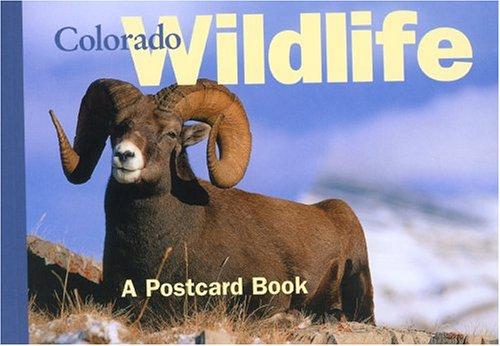 Colorado Wildlife