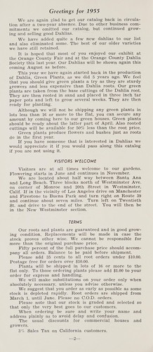 1955 dahlia catalog