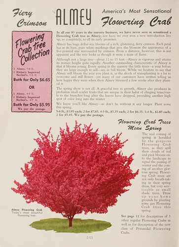 Andrews Nursery, Faribault, Minn., spring 1955