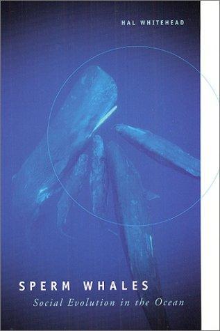 Sperm Whales
