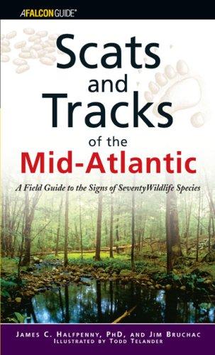 Scats and tracks of the Mid-Atlantic