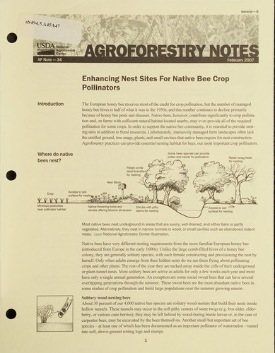 Enhancing nest sites for native bee crop pollinators