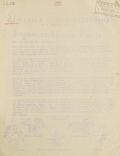 1955 catalogue of begonias, ferns and fine shade plants