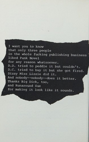 Punk novel