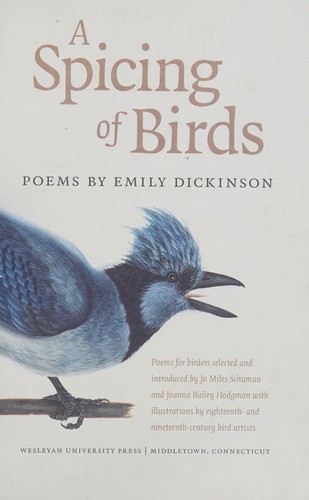 A spicing of birds