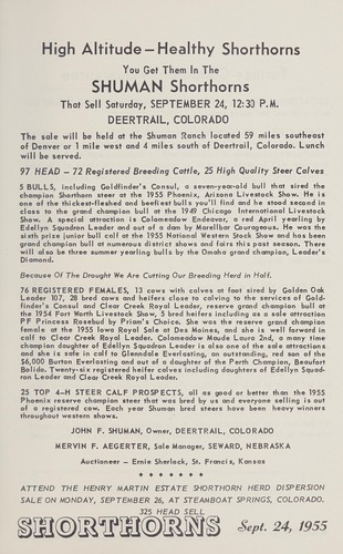 High altitude -- healthy shorthorns