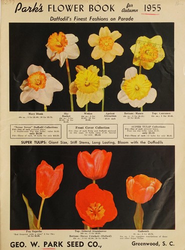 Park's flower book for autumn 1955