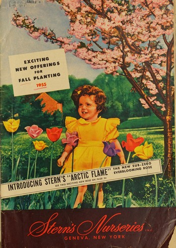 Exciting new offerings for fall planting 1955