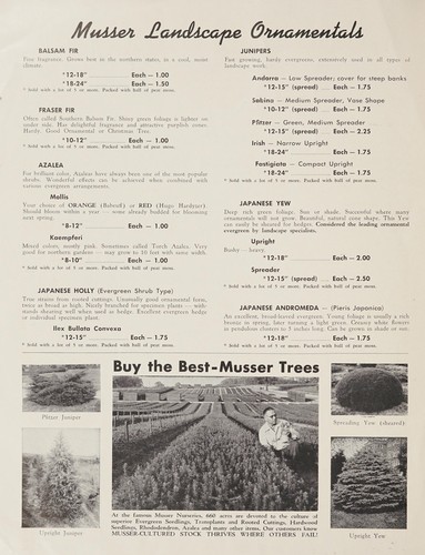 Fall-1955
