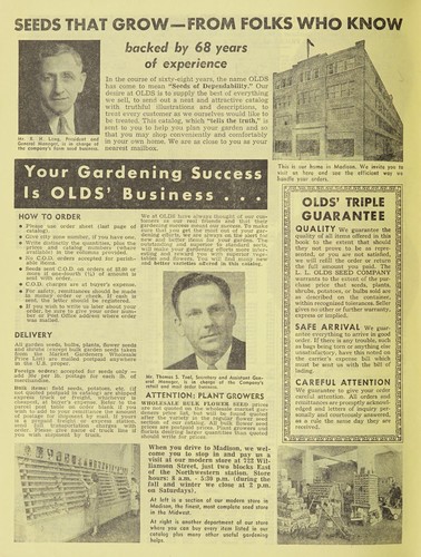 Olds' seeds, field, flower and garden