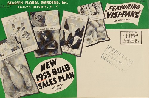 New 1955 bulb sales plan