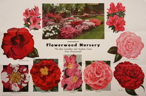 Compliments of Flowerwood Nursery
