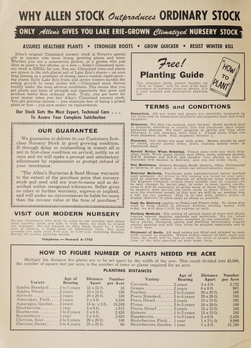 Spring 1956 catalog