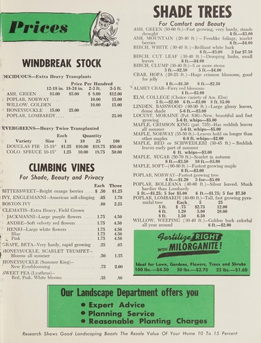 Come to Wedge Nursery, Albert Lea, Minnesota