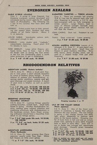 Spring 1956