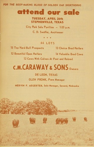 For the beef-making blood of Golden Oak shorthorns, attend our sale