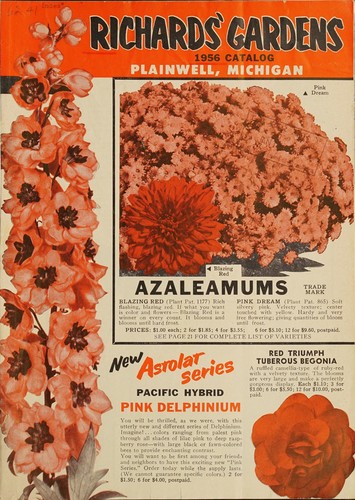 1956 catalog