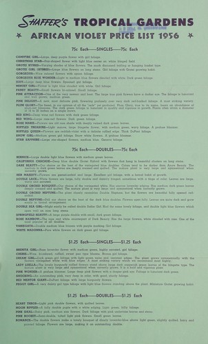 African violet price list 1956