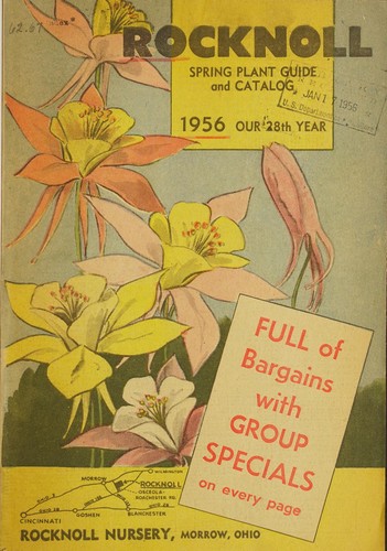 Rocknoll spring plant guide and catalog