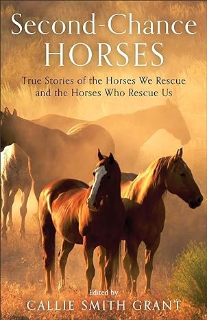 Second Chance Horses