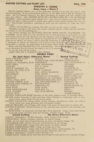 Rooted cutting and plant list, fall, 1956