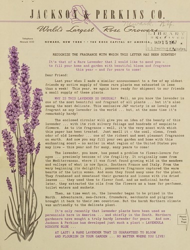 Recognize the fragrance with which this letter has been scented?