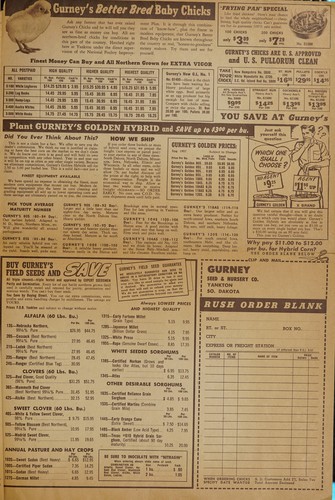 Gurney's 91st anniversary sale