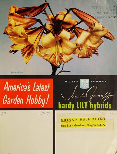 Jan de Graaff hardy lily hybrids