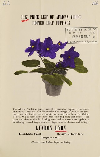 1957 price list of African violet rooted leaf cuttings