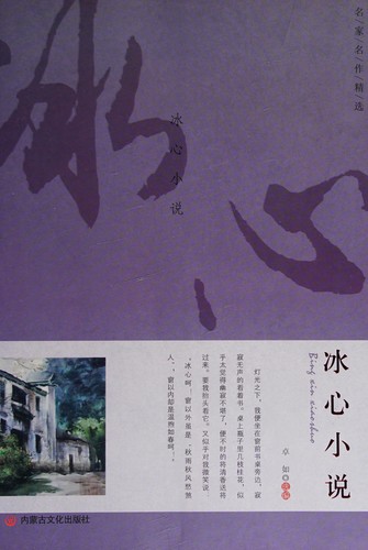 Bing Novel [Hardcover](Chinese Edition)