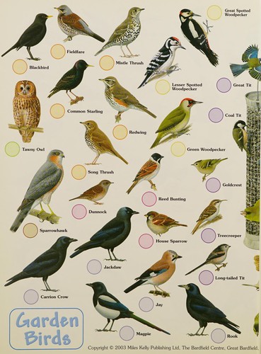British Birds Handbook