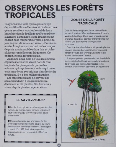 B/Vie Forets Tropicales