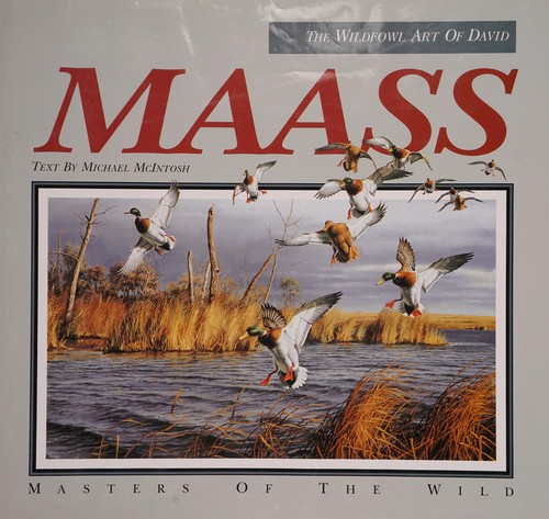 David Maass