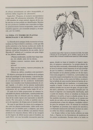El Gran Libro De Los Animales