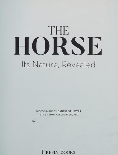 The horse
