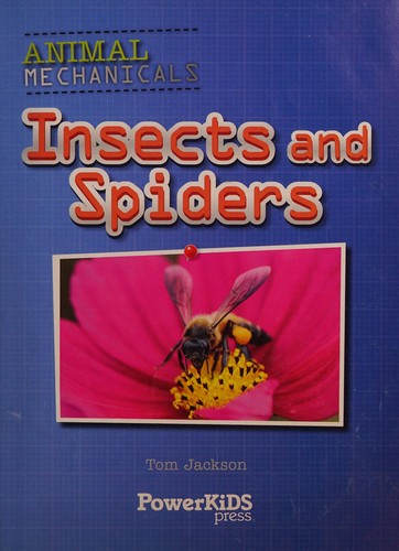 Insects and Spiders