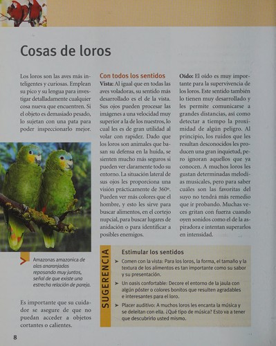 Loros/ Parrots