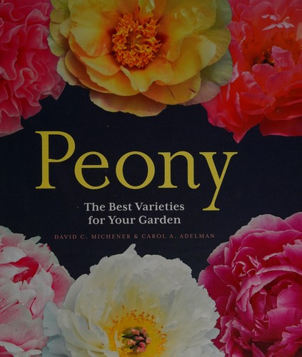 Peony
