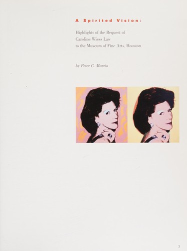 A Spirited Vision
