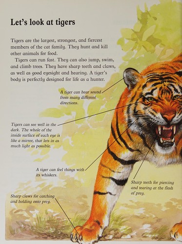Tigers (Animal world)