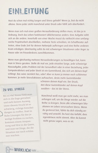 Was WIRKLICH hilft - gegen deinen STRESS