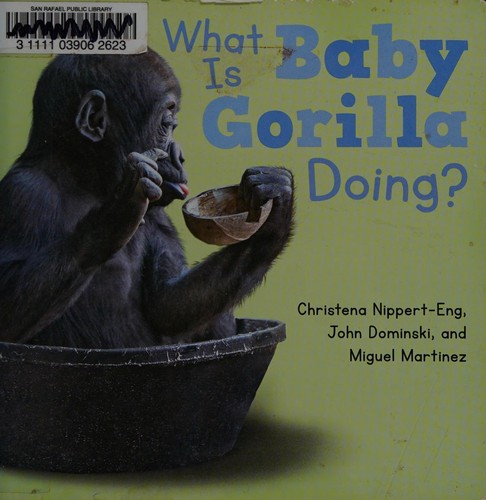 What is baby gorilla doing?