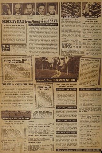 Gurney 1958 fall sale