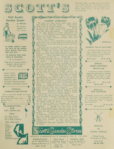 Scott's garden symphony