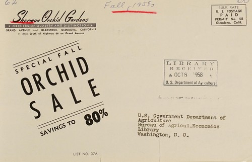 Special fall orchid sale savings to 80%